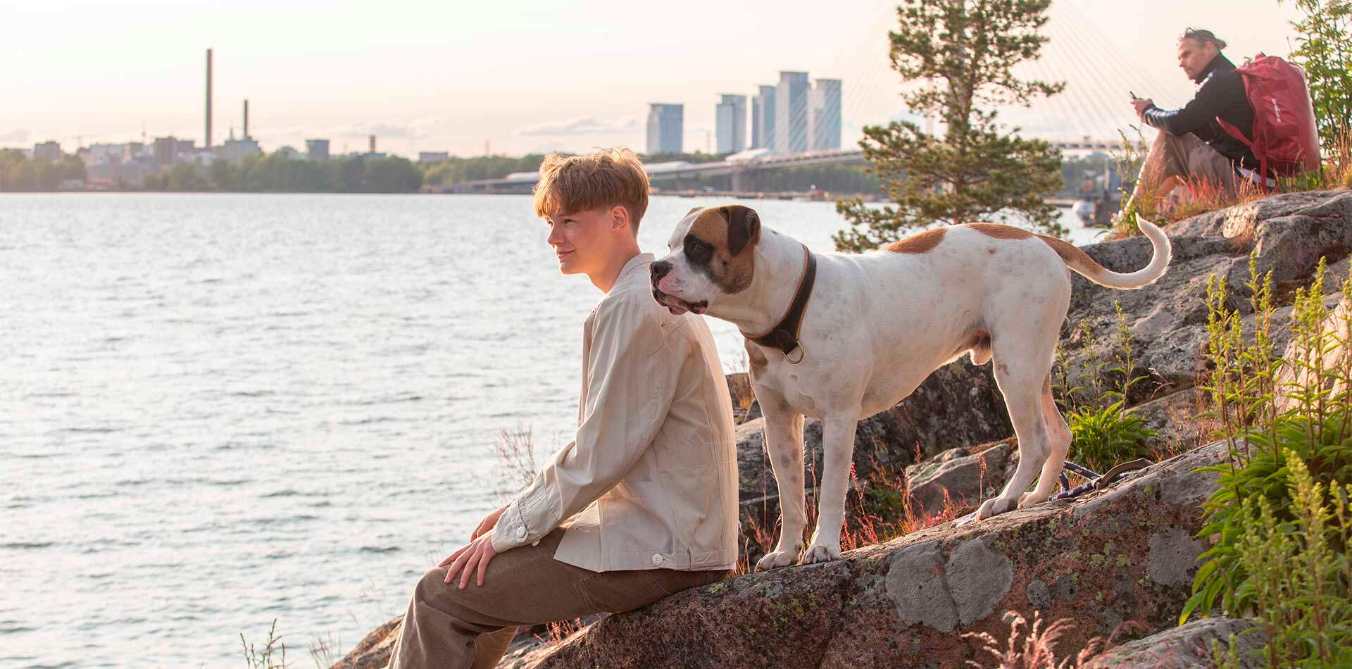 Valokuva - Nuori mies istuu kallion päällä katsellen merelle, vieressään seisoo koira. Taustalla näkyy kaupunkinäkymä ja silta.