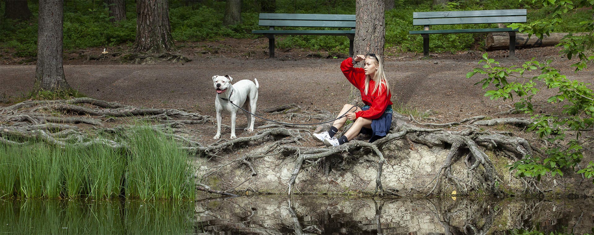 Nuori nainen istuu metsäpolulla puunjuurien keskellä koiran kanssa, katselemassa metsälammelle. Valkoinen koira seisoo tyytyväisenä hihnassa, metsämaisema taustalla tuo rauhallista tunnelmaa.