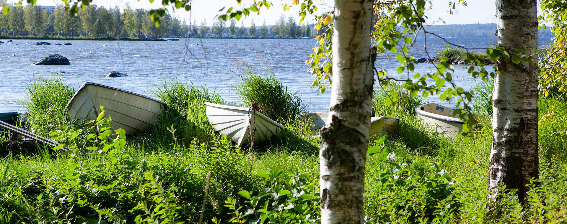 Pyhäjärven rannalle vedettyjä valkoisia soutuveneitä kesäisessä maisemassa. Veneet lepäävät pitkän vihreän ruohon keskellä, ja niiden taustalla näkyy järvi sekä rauhallinen, vehreä maisema.